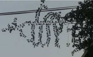 Allah Muhammad Names on Tree's leaves